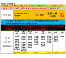 RB1 RB2 RB3 RB4 オデッセイ　 ナンバー灯 ライセンスランプ LED ホワイト_画像4