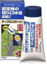 住友化学園芸 殺菌剤 トップジンMペースト 100g 癒合剤 樹木切り口保護剤 園芸 剪定_画像1