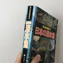 日本の淡水魚　山渓カラー名鑑　山と渓谷社　1996年2版8刷　☆図鑑 4いy_画像2