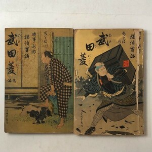 【明治】文学「武田菱　前後編　2冊」あをば 著　金桜堂　明治35年　2冊 (前193 後187p)　☆明治 戯作 小説 文学 挿絵 木版 B1yn