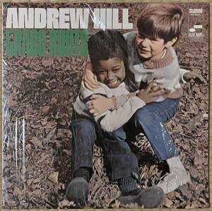 【期間限定2,000円OFF】個人所蔵 / 1975米 VAN GELDER刻印 Blue Note / Andrew Hill / Grass Roots / 超音波洗浄済+VPI HW-16.5