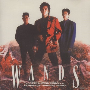 WANDS one z/ WANDS one z/ 1994.02.02 / 1st альбом / 1992 год произведение / повторный departure запись / BGCH-1006