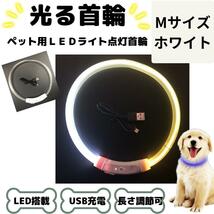 光る首輪 犬用 LED搭載 USB充電 ホワイト Mサイズ 白 夜 散歩 犬 USB usb 充電 軽量 軽い 散歩 夜 キラキラ 安全 おしゃれ カラフル_画像1