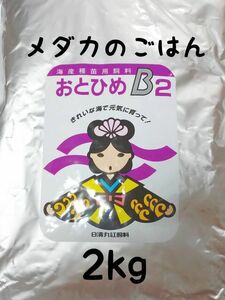 めだかのごはん　おとひめB2 2Kg　グッピー 熱帯魚