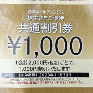 西武ホールディングス　株主さまご優待　共通割引券　1000円割引券　10枚セット 2023年11月末まで有効