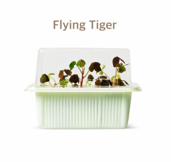 【Flying Tiger】新品未開封 育苗トレー【おうち時間 ガーデニング