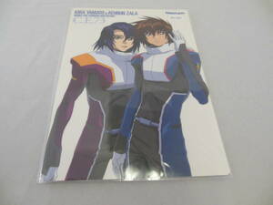 70112662 ガンダム SEED Destiny プラ製下敷き キラ・アスラン 月間ニュータイプ2006年3月号付録　Sn-5