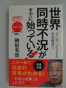 世界同時不況がすでに始まっている！　そこで、どうする日本経済　榊原英資　2010年初版　アエコム