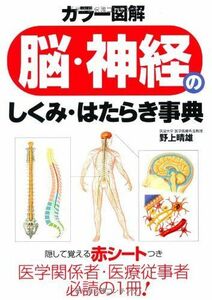 [A01560371]カラー図解 脳・神経のしくみ・はたらき事典 野上 晴雄