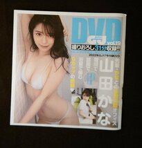 山田かな vol.19 先輩・かなとの妄想交錯オフィス こんな可愛い彼女がいたら! (2022年 グランドジャンプ17号 付録DVD)_画像1