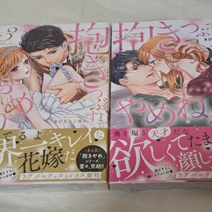 未開封シュリンク付き 特典あり 抱きつぶすまでやめねぇぞ 2巻3巻 きびだんごゆん