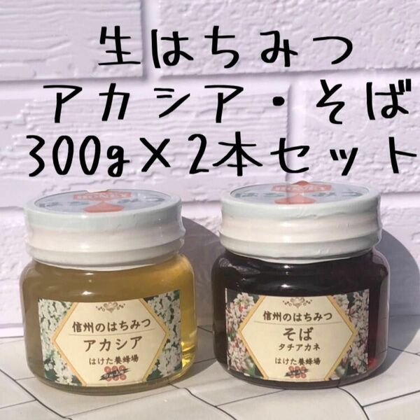 アカシア そば 生はちみつ 300g2本セット 国産 蜂蜜 【生産者直送】