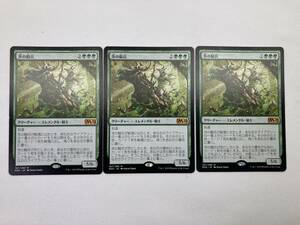 【希少】MTG 茨の騎兵/Cavalier of Thorns 日本語版 3枚 セット マジックザギャザリング