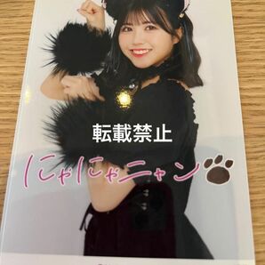 OCHA NORMA 窪田七海　2023 Black Cat 猫　L判生写真