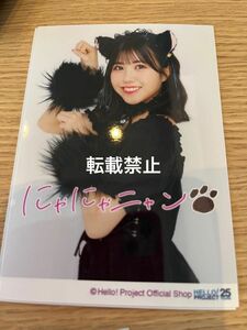 OCHA NORMA 窪田七海　2023 Black Cat 猫　L判生写真