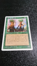 マジック:ザ・ギャザリング 鉄の根の樹人族 Magic:The Gathering マジック ギャザリング_画像1