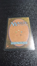 マジック:ザ・ギャザリング 鉄の根の樹人族 Magic:The Gathering マジック ギャザリング_画像2