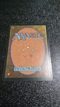 マジック:ザ・ギャザリング 根囲い Magic:The Gathering マジック ギャザリング_画像2