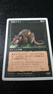 マジック:ザ・ギャザリング 疫病ネズミ Magic:The Gathering マジック ギャザリング