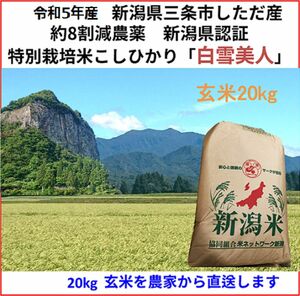 令和5年産新米　減農薬　新潟こしひかり玄米20kg 新潟県三条市旧しただ村産　新潟県認証　特別栽培米100% 白雪美人　送料無料