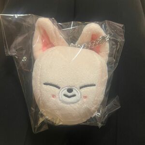 straykids SKZOO アイエン　バッグチャーム　フォクシニー　気球