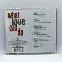 V.A. / WHAT LOVE CAN DO (CD) FTN17776　BRIAN WILSON, KENNY LOGGINS, RICHARD MARX, KRIS KRISTOFFERSON, ブライアン・ウィルソン_画像2