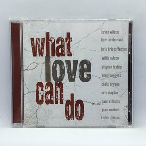 V.A. / WHAT LOVE CAN DO (CD) FTN17776　BRIAN WILSON, KENNY LOGGINS, RICHARD MARX, KRIS KRISTOFFERSON, ブライアン・ウィルソン