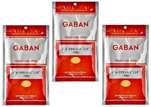 ジャークチキンシーズニング 100g×3袋 GABAN ミックススパイス 香辛料 パウダー 業務用 ギャバン 高品質 粉 粉末