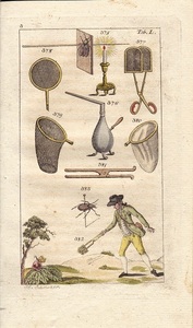 約200年前のアンティークプリント　オーストリア　昆虫採集をする人　昆虫標本のための道具　蝶　捕虫網　銅版画手彩色