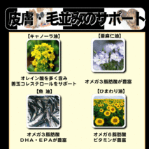 ■6777円～■送料無料！【ドクターズチョイス シニア】6kg　糞尿臭が本当に少なくなるのが人気の秘密！室内犬に喜ばれる人気ドッグフード_画像10