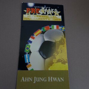 CORINTHIAN コリンシアン PRO STARS Ahn Jung Hwan 安貞桓の画像2