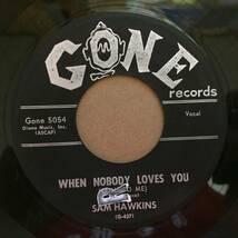 Sam Hawkins/When Nobody Loves You(US single)_画像1
