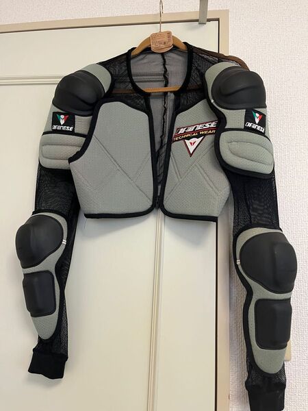 ダイネーゼ プロテクター