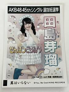 【田島芽瑠】生写真 AKB48 HKT48 劇場盤 45thシングル 選抜総選挙 翼はいらない