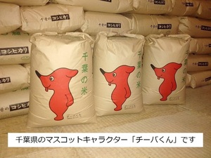 ★☆農家より令和４年千葉県産コシヒカリ30kg【在庫処分！】１円スタート！☆★