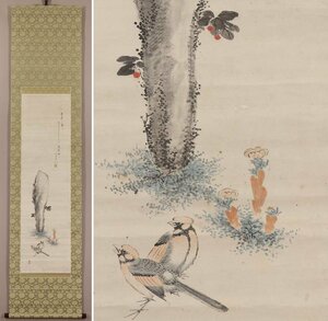 Art hand Auction [Reproduction] ◆Takada Tanomura◆Flower and bird painting◆Adonis◆Japanese painting◆Paper book◆Hanging scroll◆s776, Painting, Japanese painting, Flowers and Birds, Wildlife