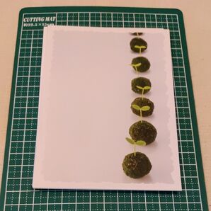 苔玉ポストカード20枚セットポストカード