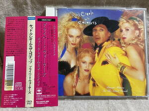 KID CREOLE AND THE COCONUTS - PRIVATE WATERS IN THE GREAT DIVIDE CSCS5127 国内初版 日本盤 帯付 廃盤