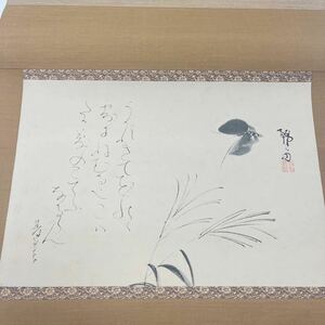 【掛軸】富岡鉄斎 太田垣蓮月「花野の蝶画讃」講談社 講談社解説書付 元箱 限定品 hanging scroll