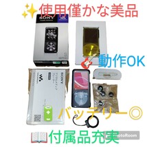 【使用僅かな美品/動作OK/バッテリー◎・送料無料】SONY/ソニー　WALKMAN/ウォークマン　デジタルメディアプレイヤー　NW-S755_画像1