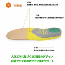 アーチインソール 衝撃吸収タイプ 扁平足悩みの方に 中敷き シークレットインソール 低反発 3D構造 通気性 負担軽減 【Sサイズ】INSOXD640_画像3