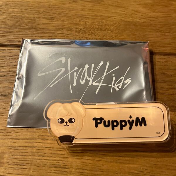 SKZOO ランダムネームバッチ PuppyM パピーム スンミン