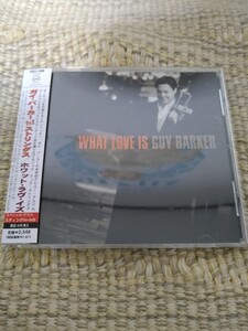 【国内盤】☆ガイ・バーカーGuy Barker ・ウィズ・ストリングス／ホワット・ラヴ・イズ☆☆スペシャルゲスト=スティングSting