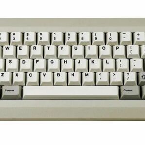 Macintosh Apple M0110 D0110 カスタムキーボード　自作　メカニカル HHKB ベージュ　ホットスワップ