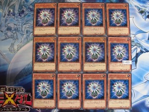 【遊戯王】 グローアップ・バルブ　ノーマル　12枚　【即決】C-423　