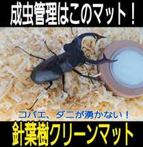 カブトムシ、クワガタの成虫飼育にはコレ！爽やかな香りの針葉樹クリーンマット【50L】ケース内が明るくなり生体が目立つ！ダニ防止に抜群_画像6