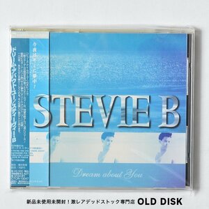 【希少！新品未使用】CD スティーヴィー・B / ドリーム・アバウト・ユー デッドストック