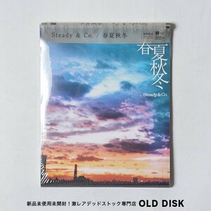 【希少！新品未使用】CD steady&co(降谷健志) / 春夏秋冬 デッドストック