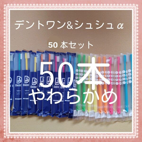 【505】歯科専売　大人歯ブラシ　やわらかめ50本