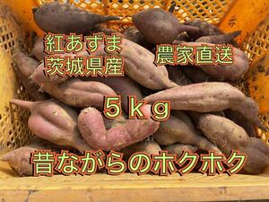 新物　土付き　ホクホク系　べにあずま　紅東　紅あずま　5kg B級品 訳あり　さつまいも 茨城県産　5キロ